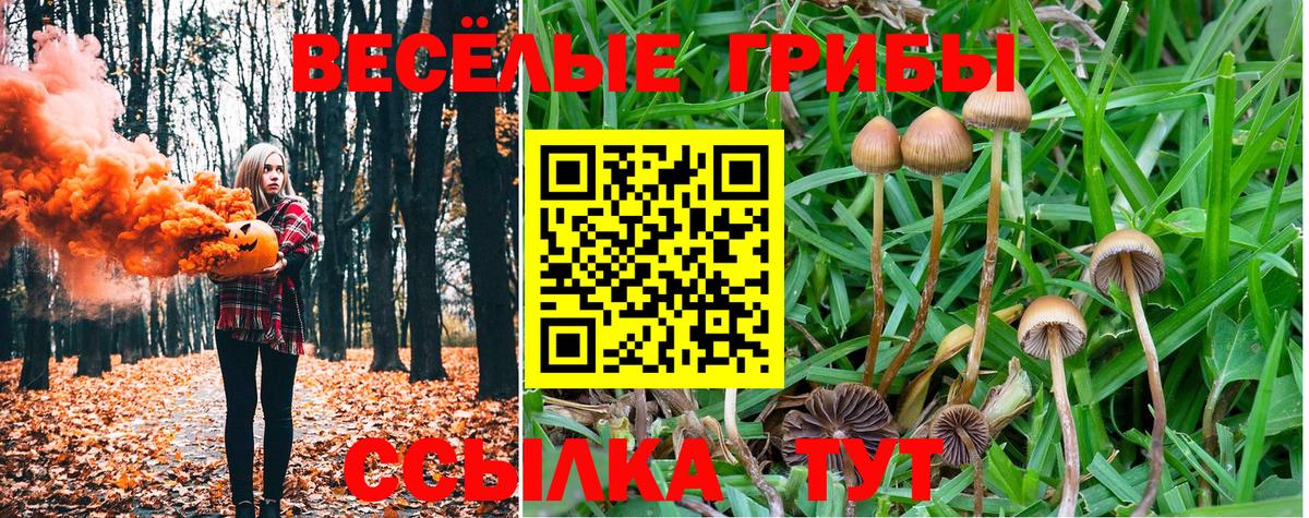 Псилоцибиновые грибы мухоморы Липецк