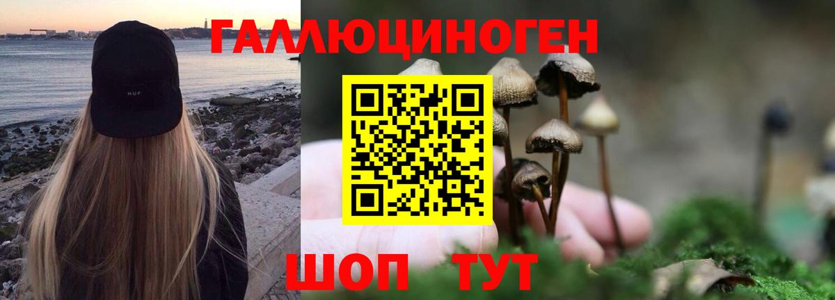 Псилоцибиновые грибы Psilocybine cubensis  Галлюциногенные грибы Magic Shrooms  Вход с VPN  Липецк 